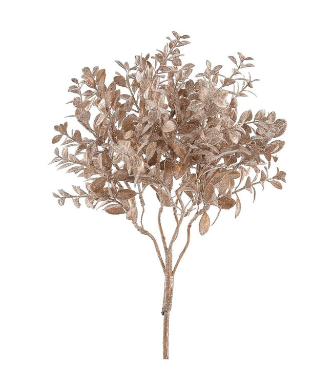 Bouquet feuilles de buis champagne 17 po