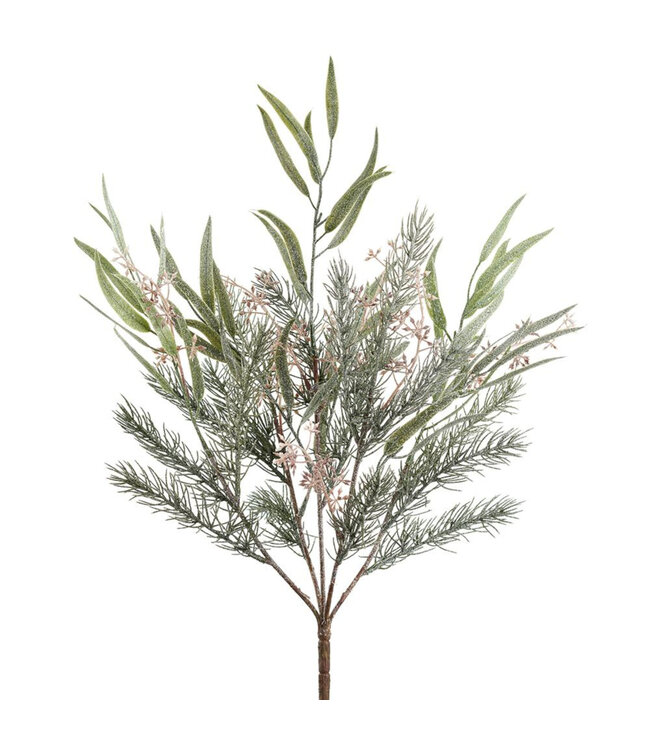 Tige d'eucalyptus et pin givrée 21 po