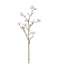 Branche de mini magnolia crème 32 po