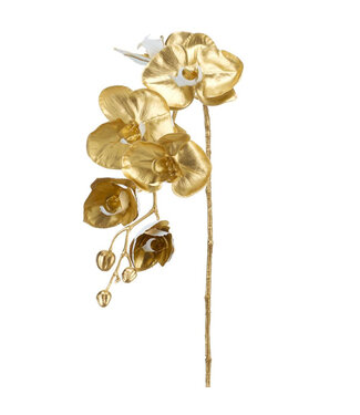 Tige d'orchidée dorée