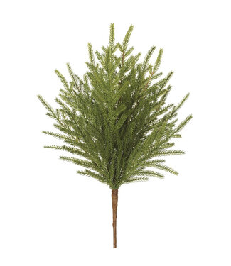 Pic de cyprès 20 po