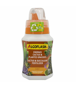 Algoflash Algoflash engrais cactus et plantes grasses