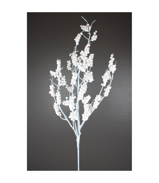Tige de Baies Blanches