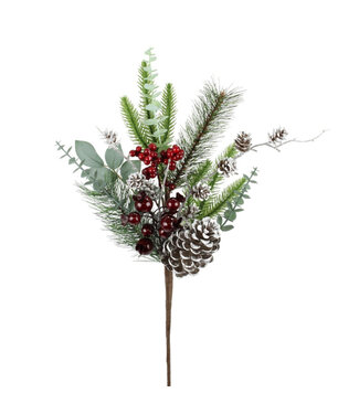 Tige de verdure, baies rouges et cocottes 20 po