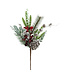 Tige de verdure, baies rouges et cocottes 20 po