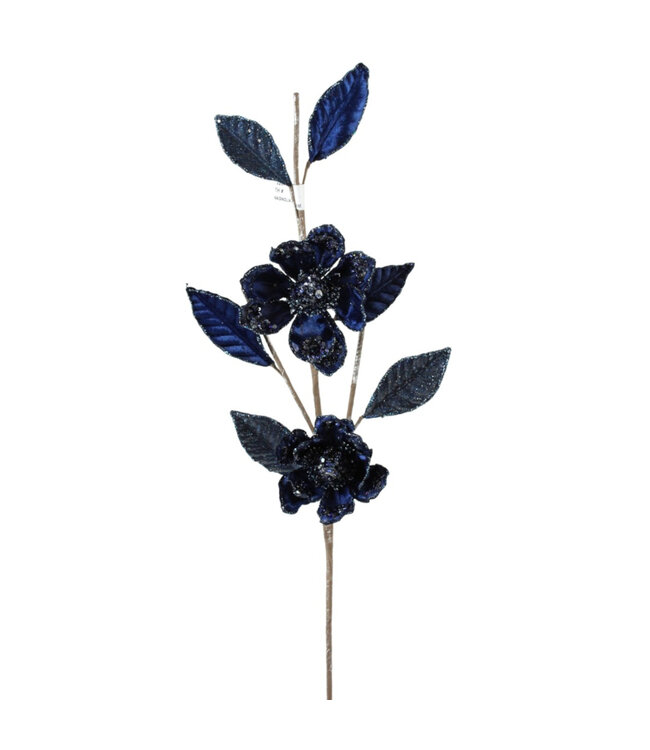 Tige de magnolia bleu