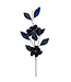 Tige de magnolia bleu