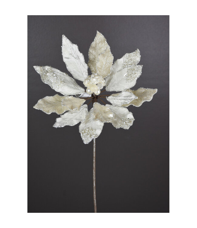 Tige poinsettia beige avec perles