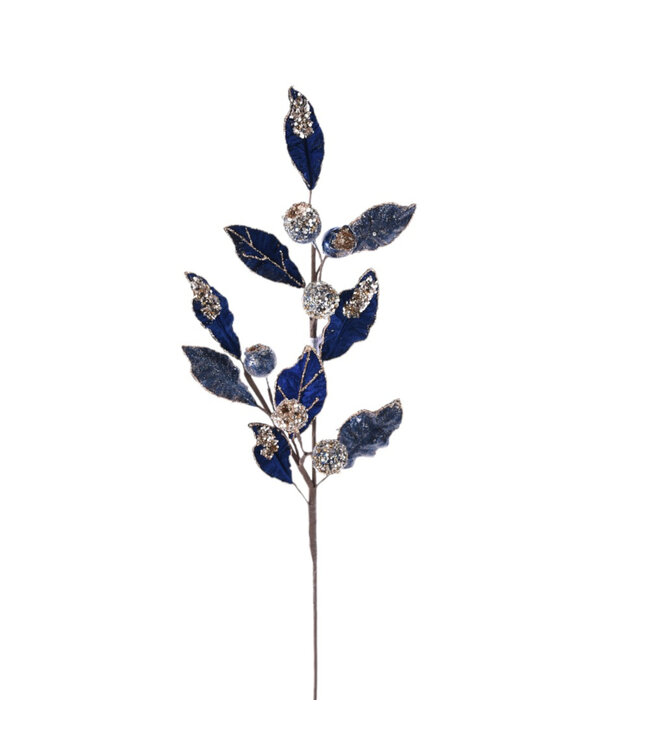 Tige de pommes grenade bleues