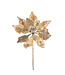 Tige de poinsettia or 18 po