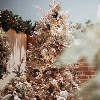 Magasiner par thèmes