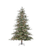 Sapin Nothern Noble