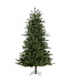 Sapin Montauk