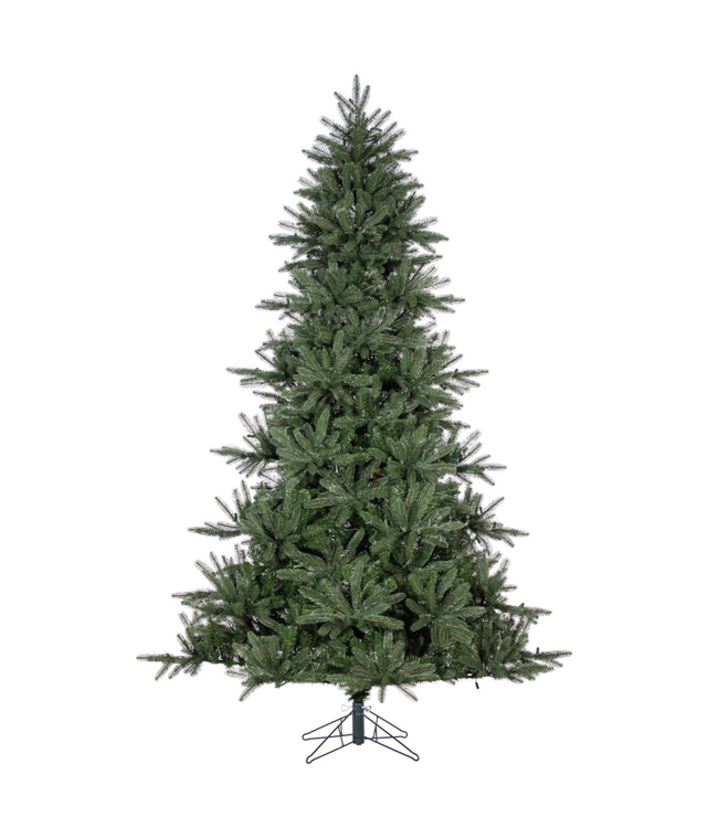 Sapin Stevens – Majesté naturelle et élégance intemporelle pour Noël