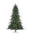 Sapin Stevens