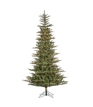 Sapin Lytton