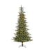 Sapin Lytton