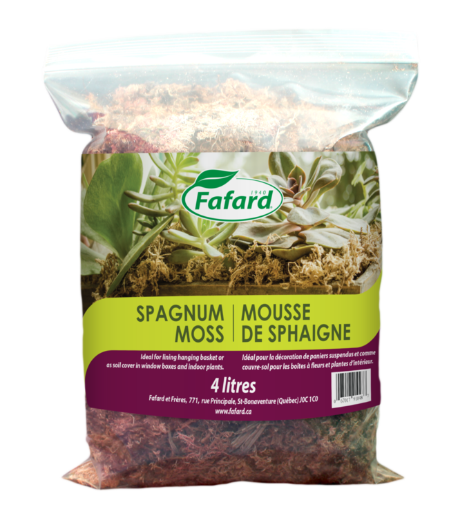 Mousse de sphaigne | L'allié naturelle pour vos plantes et projets créatifs