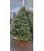 Sapin de Noël naturel baumier - Fraîcheur et tradition