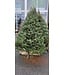 Sapin de Noël naturel baumier - Fraîcheur et tradition
