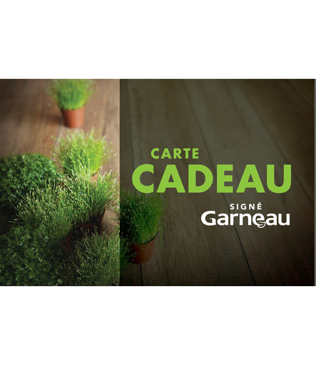Carte Cadeau Signé Garneau | Le Cadeau Parfait pour Offrir le Choix