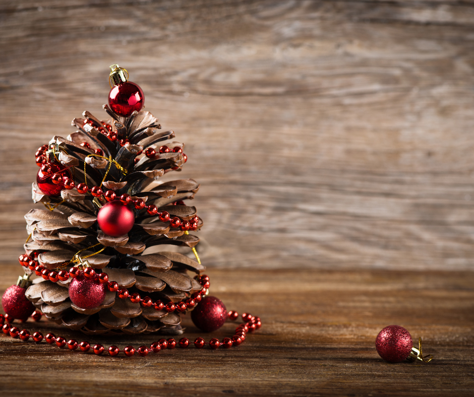 Quel sapin naturel choisir et comment l’entretenir?