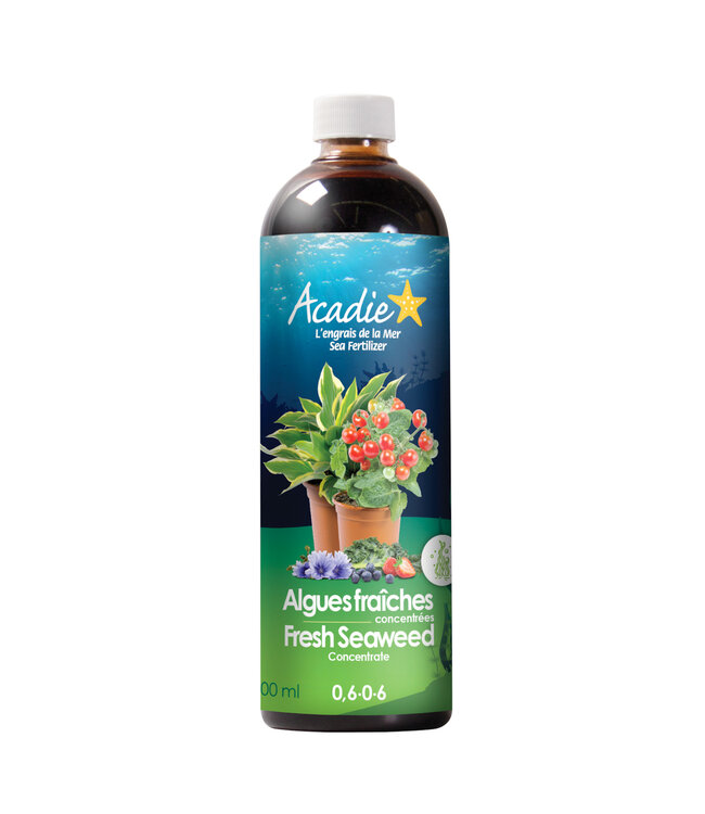 Engrais Naturel aux Algues Fraîches Concentrées 0,6-0,6 | Croissance et Vitalité Optimales