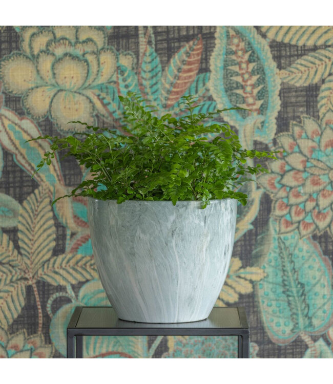 Cache-pot Empereur aqua