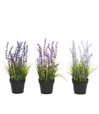 Lavande Artificielle en Pot
