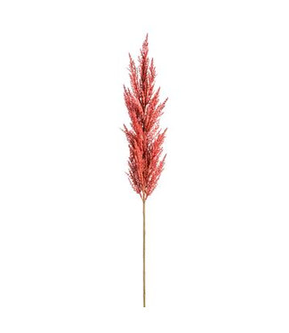 Pampas