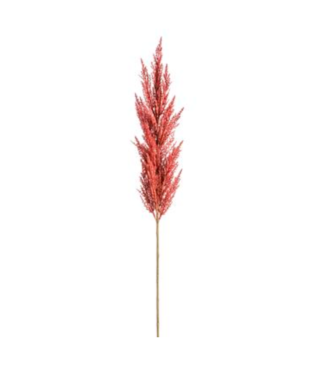 Pampas | Élégance et Douceur Intemporelle pour Votre Décor