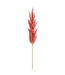 Pampas | Élégance et Douceur Intemporelle pour Votre Décor