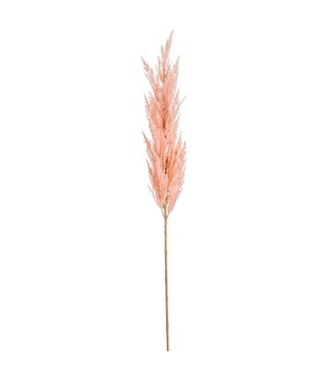 Pampas | Élégance et Douceur Intemporelle pour Votre Décor