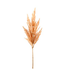 Pampas | Élégance et Douceur Intemporelle pour Votre Décor