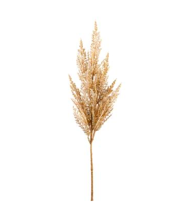 Pampas | Élégance et Douceur Intemporelle pour Votre Décor