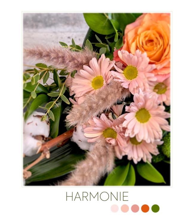 Ma naturelle | SV-027