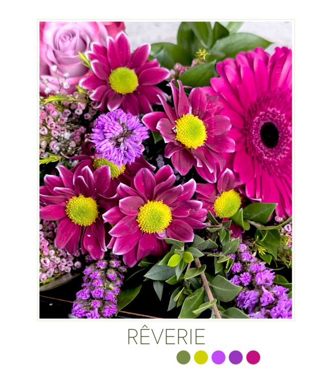 Ma Petite Douceur | SV-2407