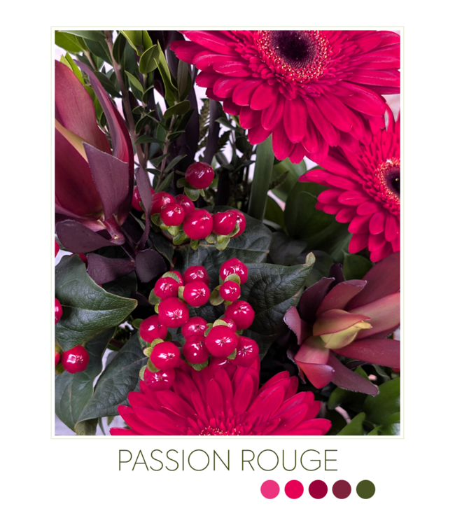 La Grande Passion | SV-015