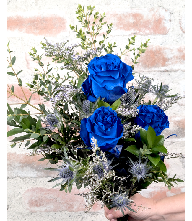 Belle de nuit | SV-026