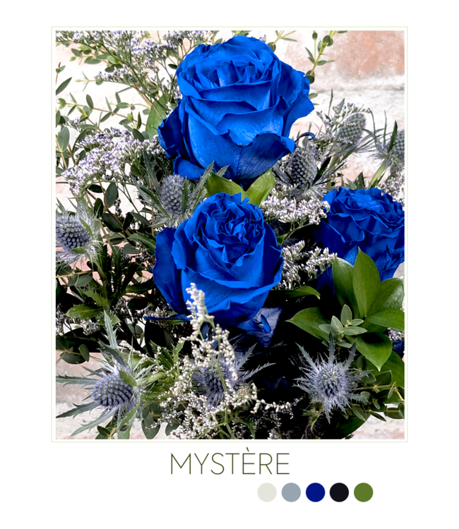 Belle de nuit | SV-026