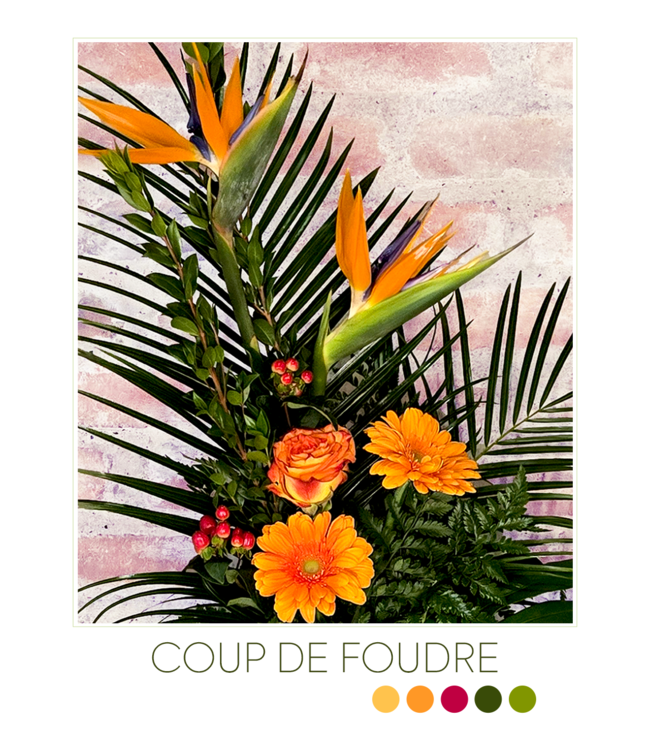Coup de Foudre | SV-013