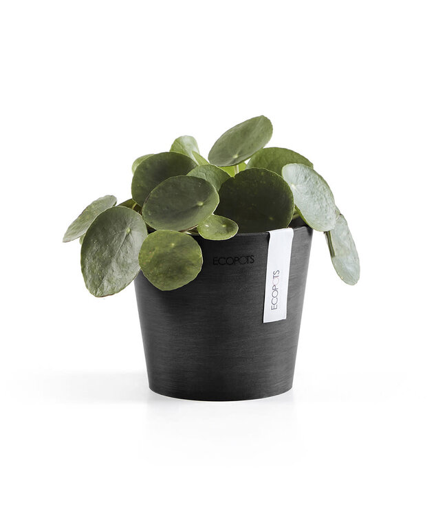 Ecopots Pot Amsterdam Gris Foncé | Pot de Fleurs Rond en Plastique Recyclé