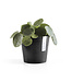 Pot Amsterdam Gris Foncé | Pot de Fleurs Rond en Plastique Recyclé