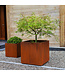 Campania Pot en Acier Rouille Carré