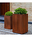Campania Pot Cubique en Acier Haut