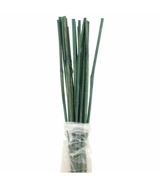 Tuteur bambou teint vert 2 pi pqt 20
