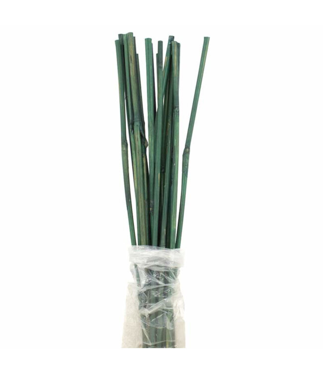 Tuteur bambou teint vert 2 pi pqt 20