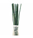 Tuteur bambou teint vert 4 pieds (paquet 20)