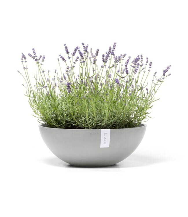 Bol Vienna Blanc-Gris | Design Doux et Naturel