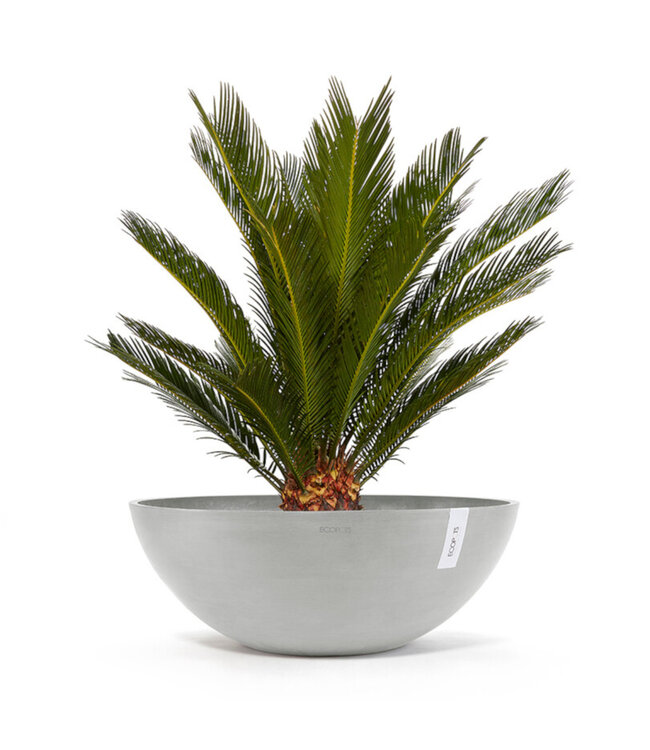 Ecopots Bol Vienna Blanc-Gris | Design Doux et Naturel